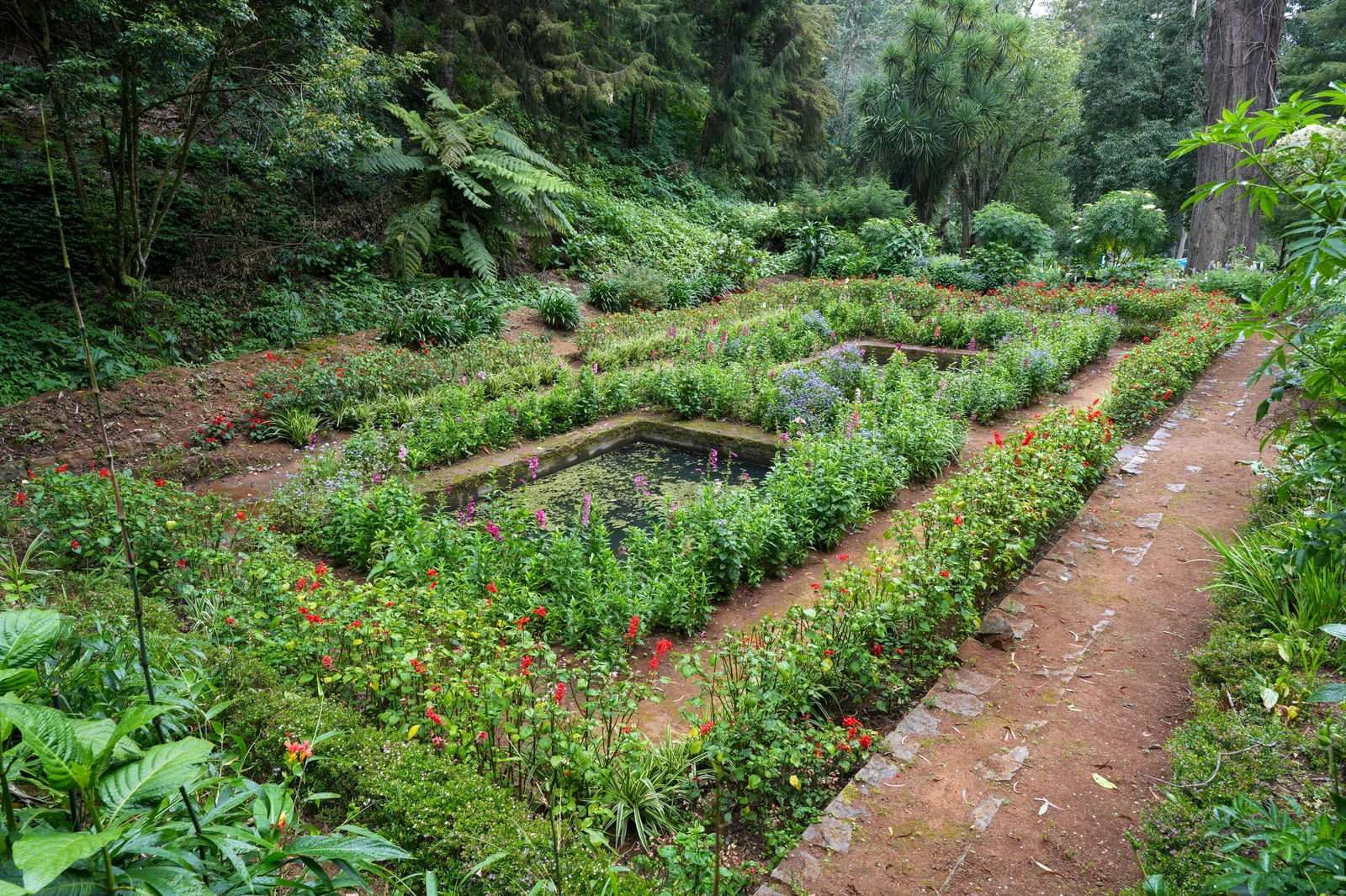 Government Botanical Garden Ooty