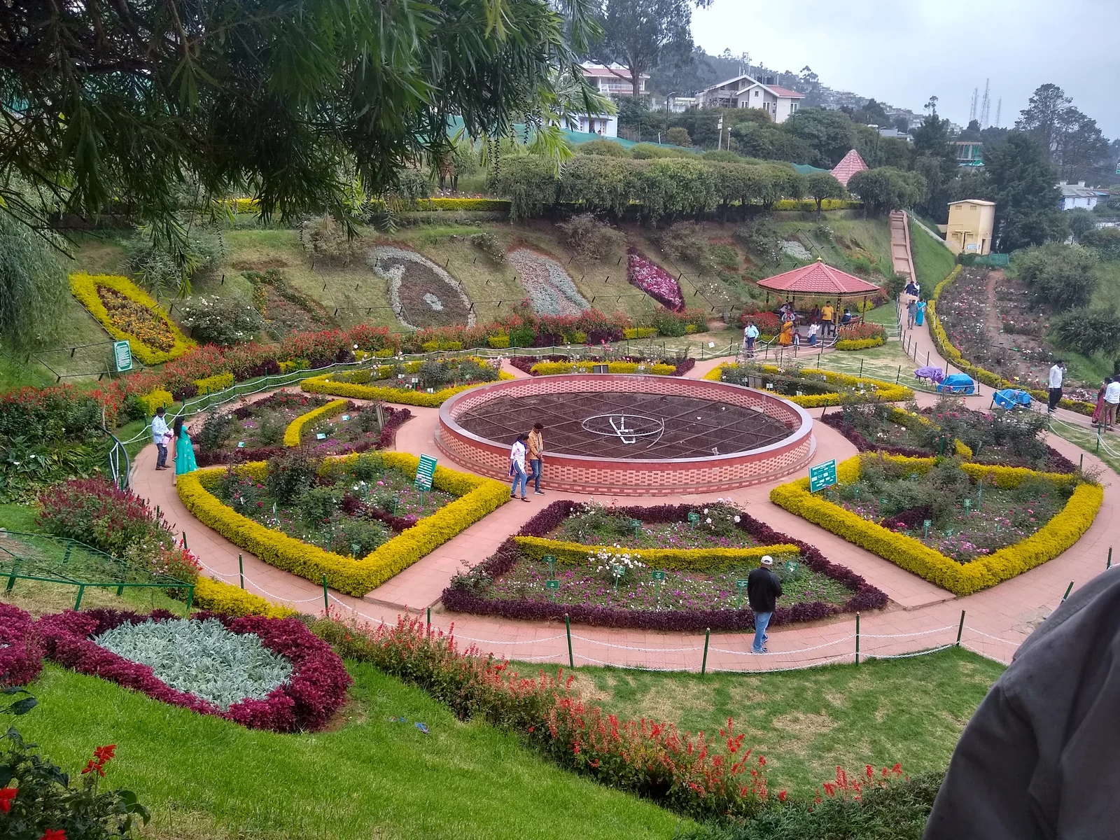 Government Rose Garden Ooty